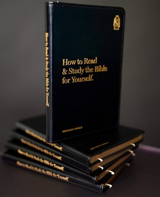 Box of 48 Books (How to Read the Bible)