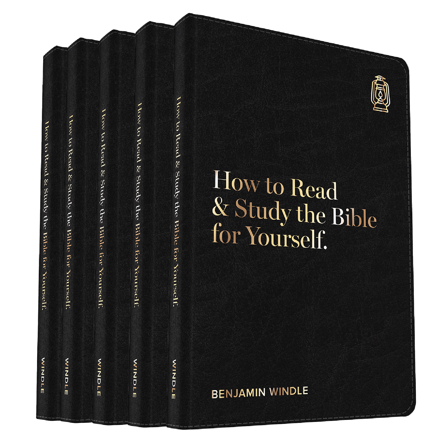 Box of 48 Books (How to Read the Bible)