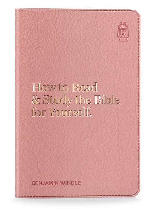 Pink Version Box of 48 Books (How to Read the Bible)